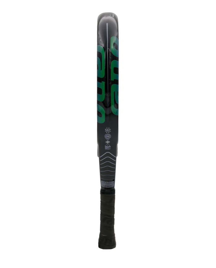 Sane Elis-2