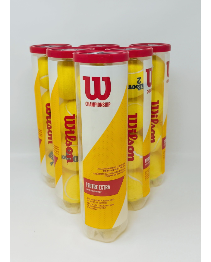 Wilson Palline Extra Duty x4 (6 Tubi)