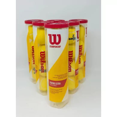 Wilson Palline Extra Duty x4 (6 Tubi) Wilson Palline Extra Duty x4 (6 Tubi)