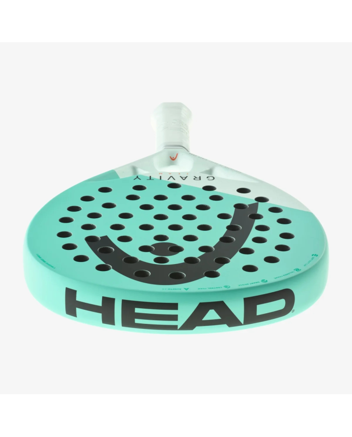 Head Gravity Team 2024