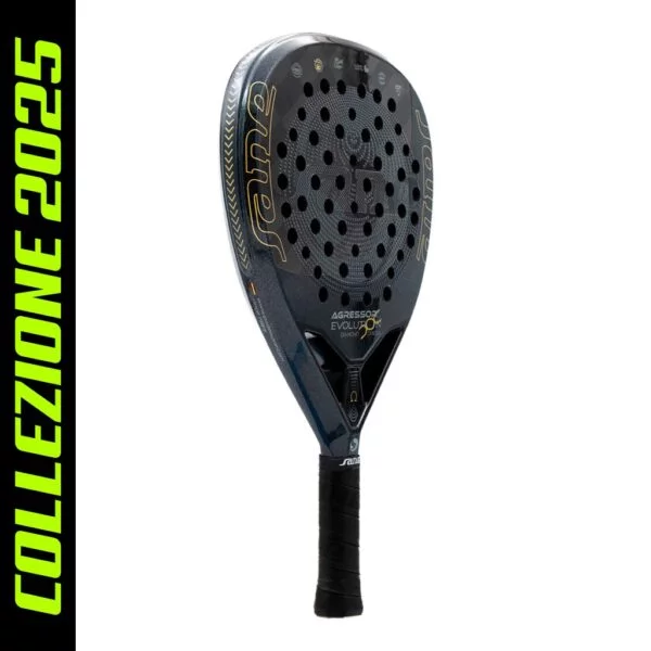 Sane Aggressor Evolution Diamond Omega Sane Aggressor Evolution Diamond Omega