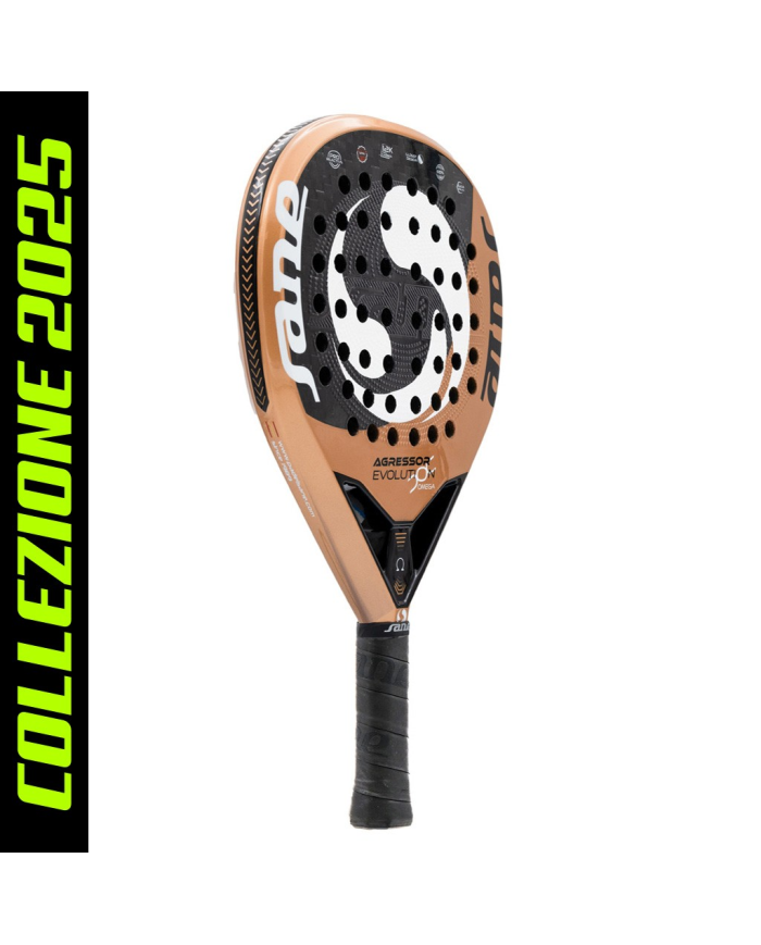 Sane Aggressor Evolution Omega