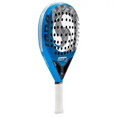 Sane Aggressor Evolution Alpha Sane Aggressor Evolution Alpha