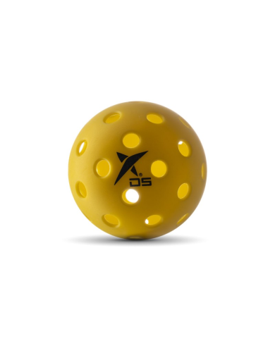 Drop Shot Pickl Ball Indoor X6