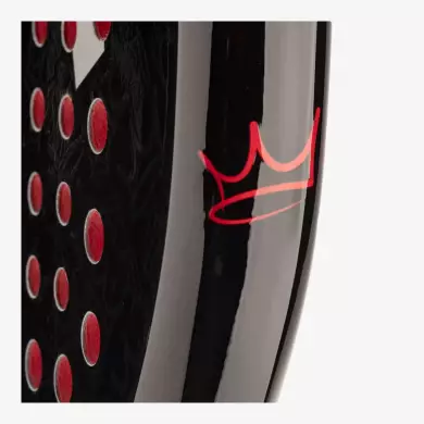 Head Coello Team 2025 Head Coello Team 2025