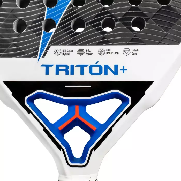 Starvie Triton + Power 2025