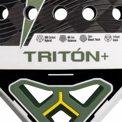 Starvie Triton + Balance 2025 Starvie Triton + Balance 2025