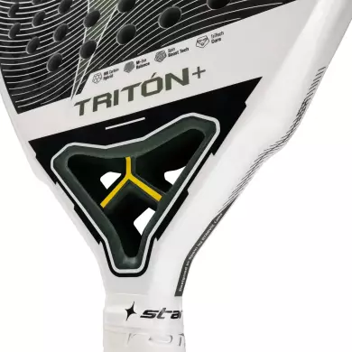 Starvie Triton + Balance 2025 Starvie Triton + Balance 2025
