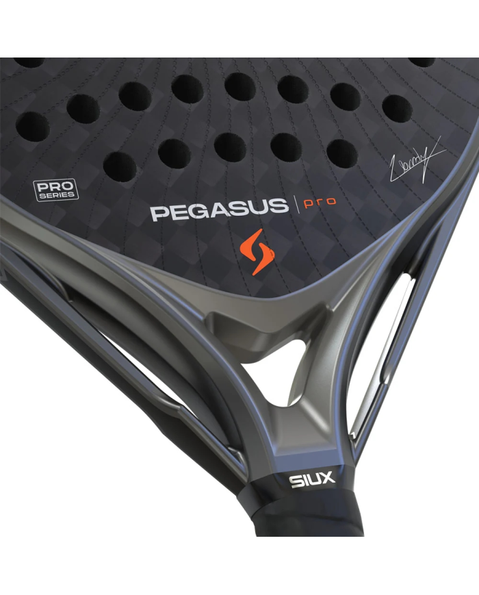 Siux Pegasus Pro Storm Grey 2026