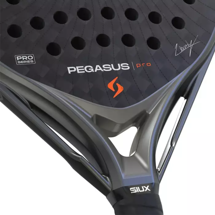 Siux Pegasus Pro Storm Grey 2026