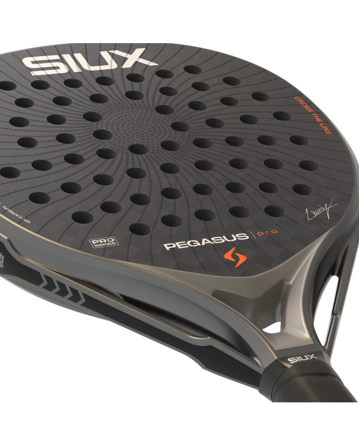 Siux Pegasus Pro Storm Grey 2026