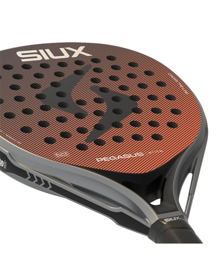 Siux Pegasus Elite 2026