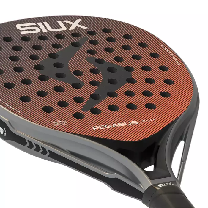 Siux Pegasus Elite 2026
