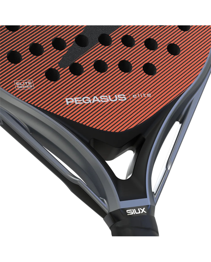 Siux Pegasus Elite 2026