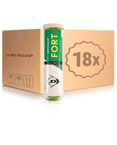 Dunlop Fort All Court 18 Tubi x4 - Box